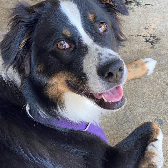 🍄Welcome to Sparrow’s Bubble..my name is Kriss! 🍄 - Picture 4 of 15